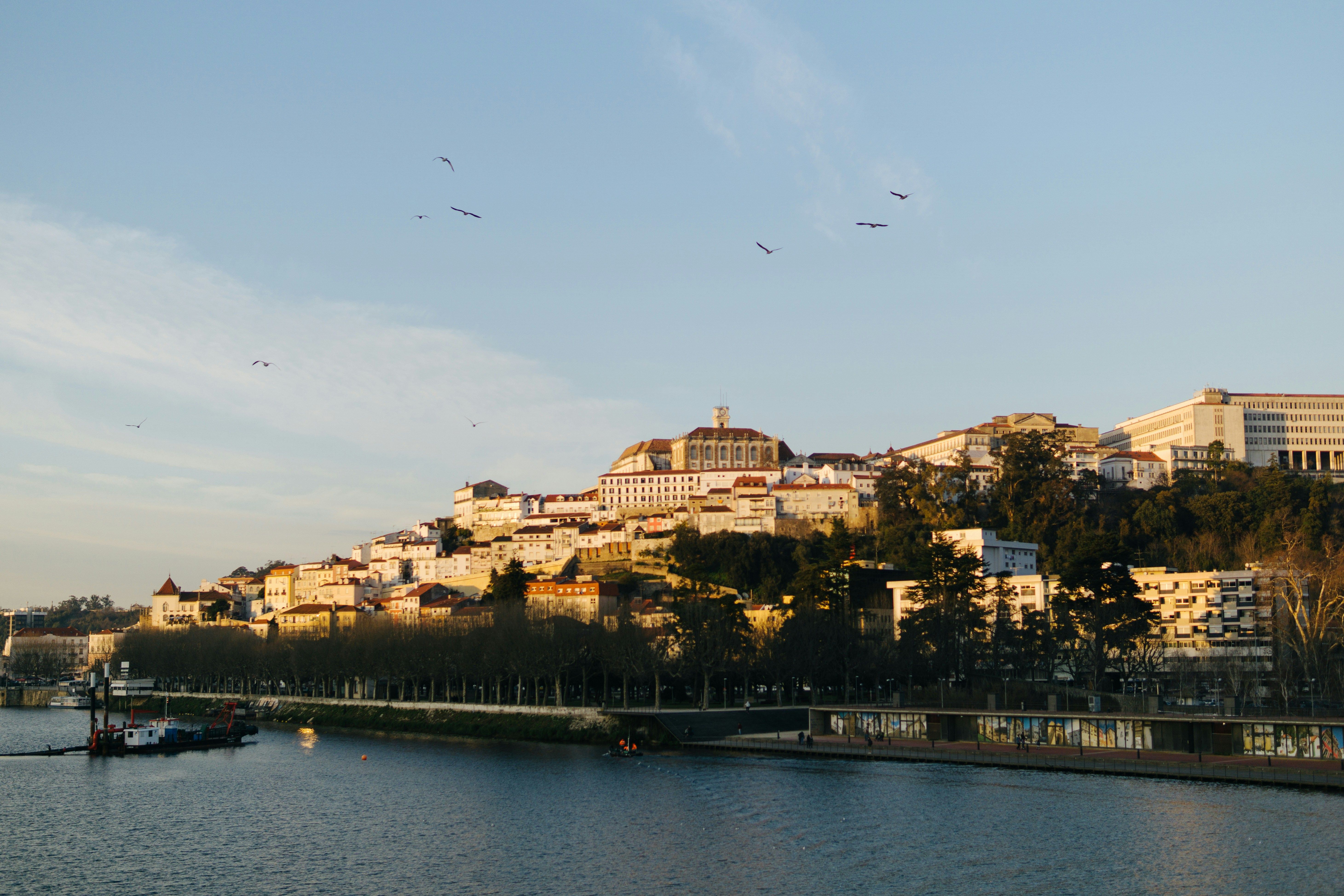 Organiser un team building à Coimbra