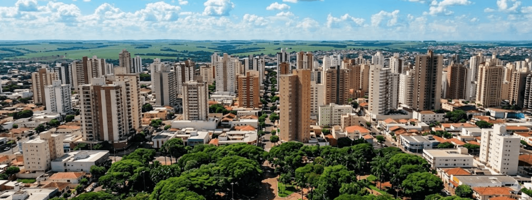 Organiser un team building à Ribeirão Preto