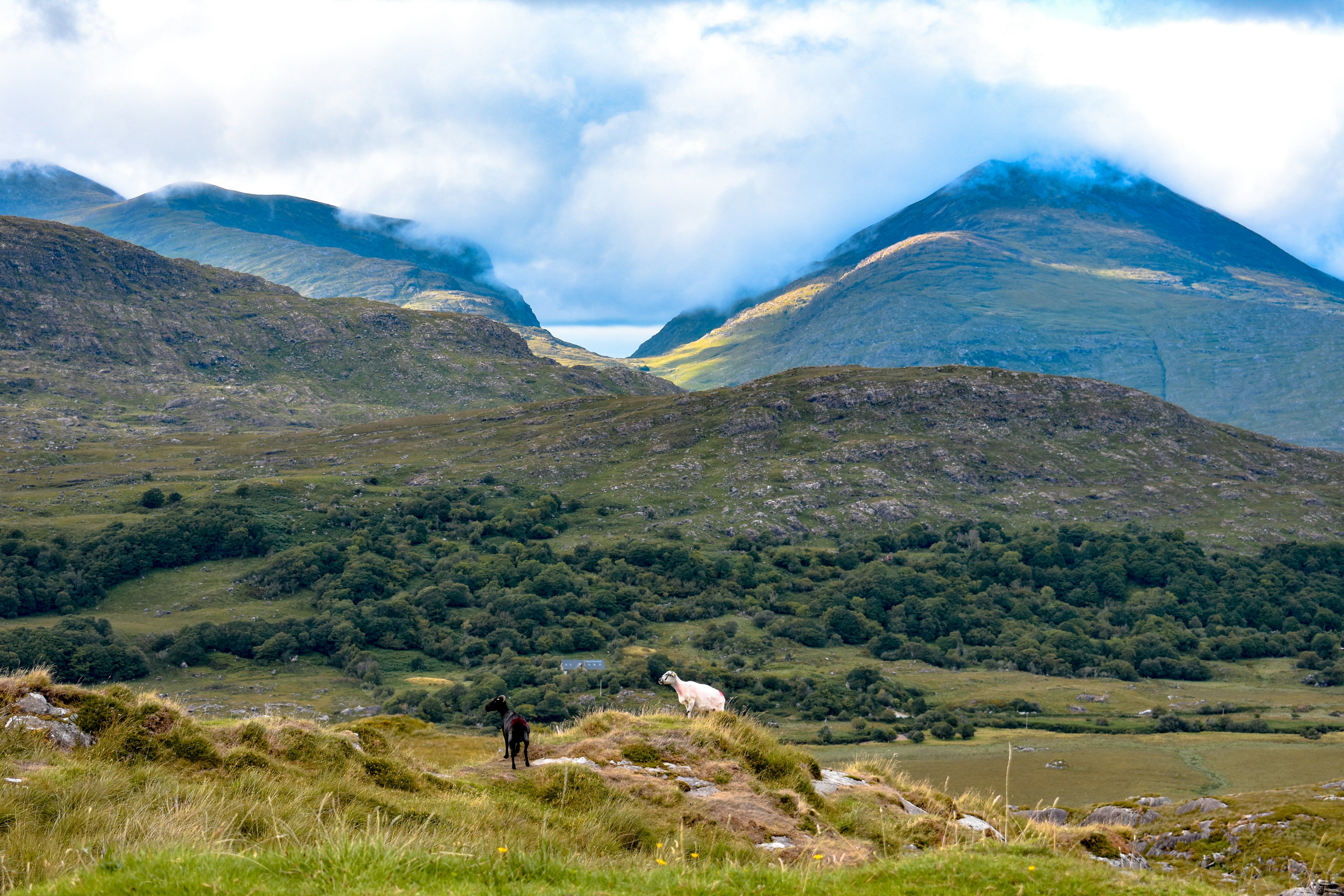 Organiser un team building à Killarney