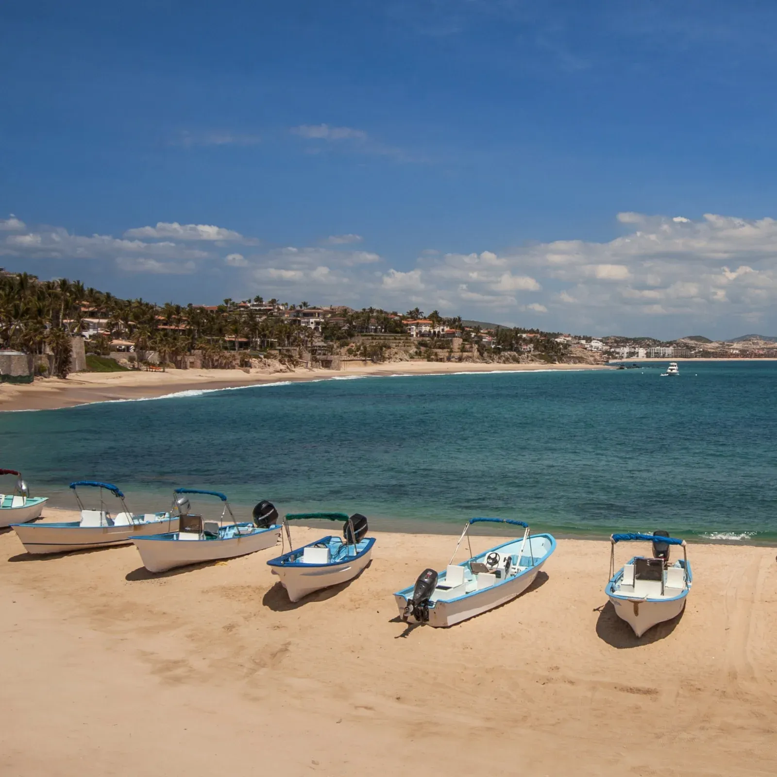Les meilleurs séminaires à San José del Cabo