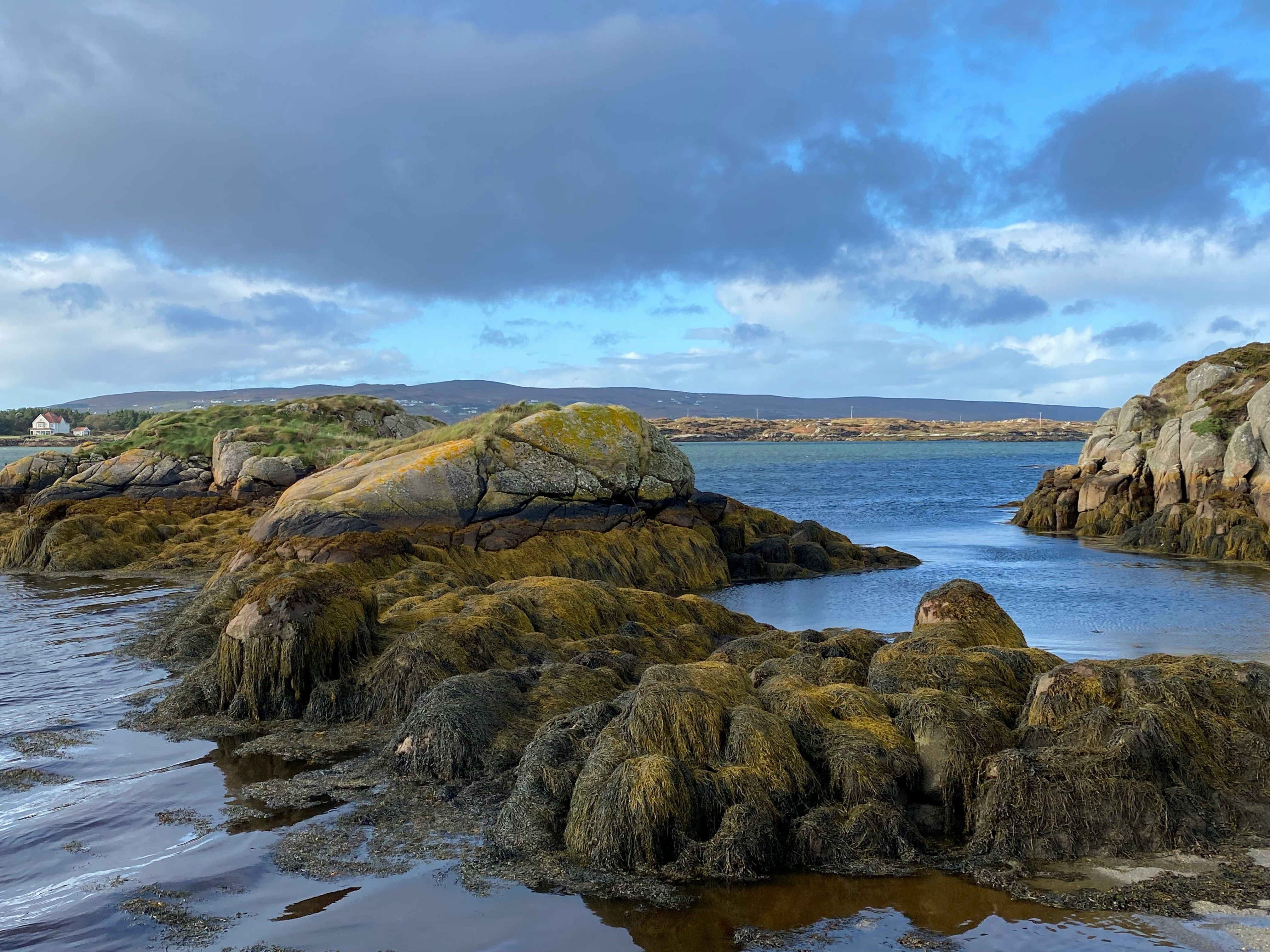 Organiser un team building à Wild Atlantic Way