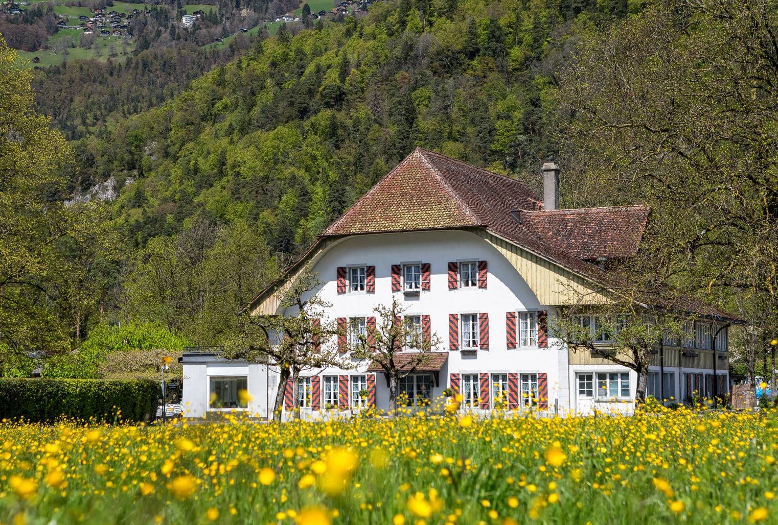 House cover