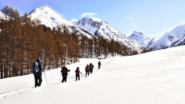 Glacier excursion with certified mountain guides