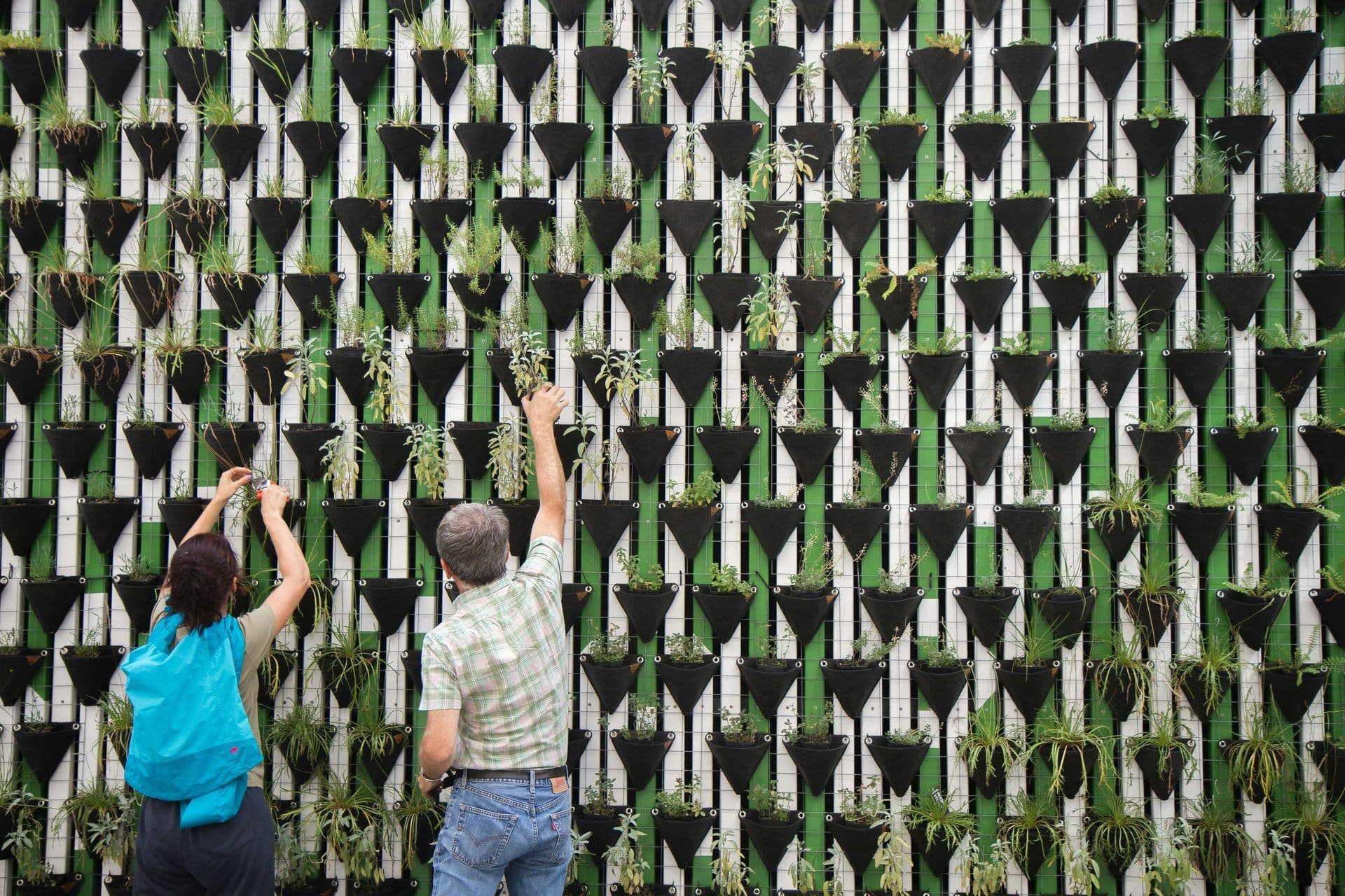 Two participants engage in a sustainability workshop, tending to a lush vertical garden wall.