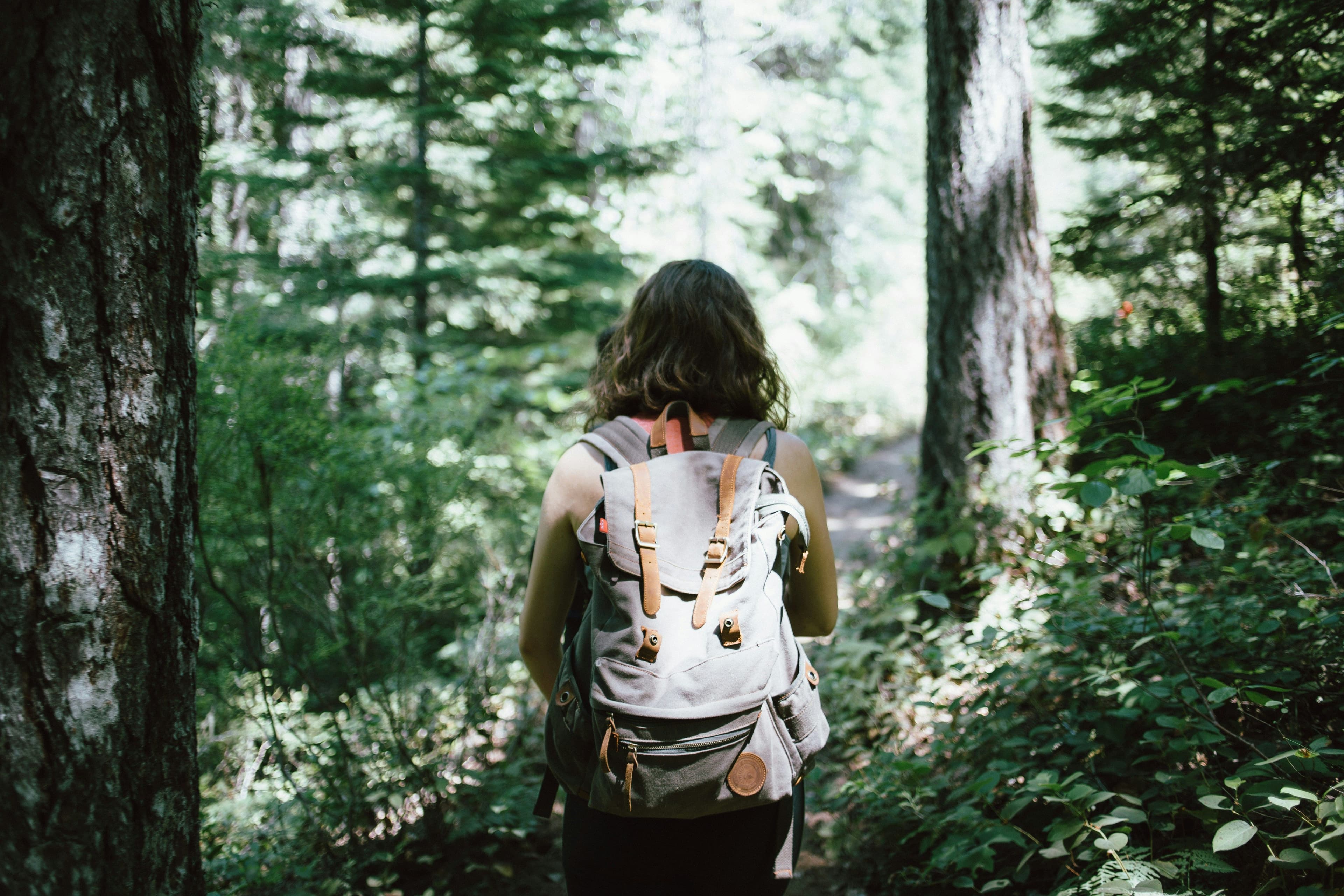 Équipe en activité nature, renforçant la cohésion et la confiance en plein air.