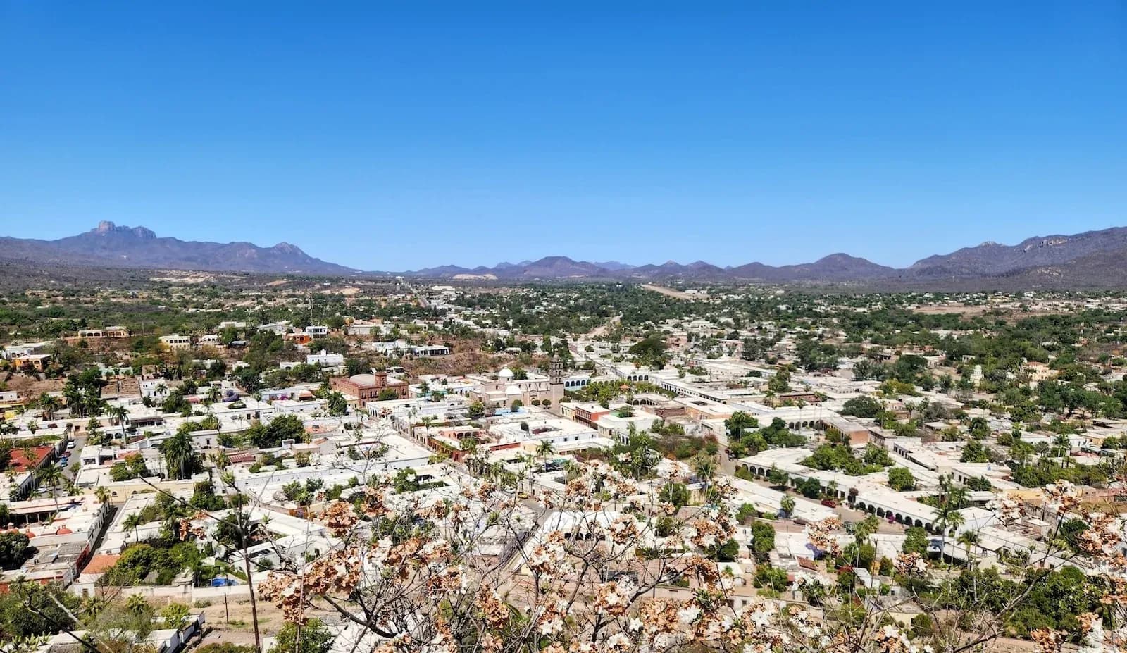 Sonora