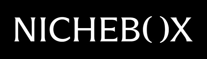 logo de Nichebox