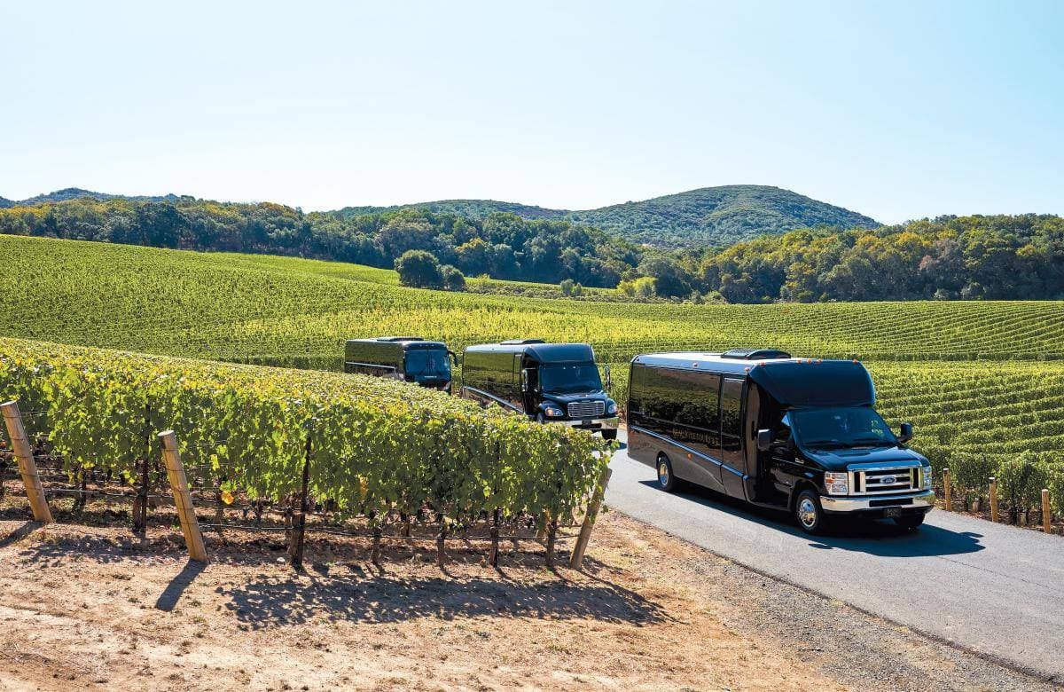 Beau Wine Tours and Charter Services 1