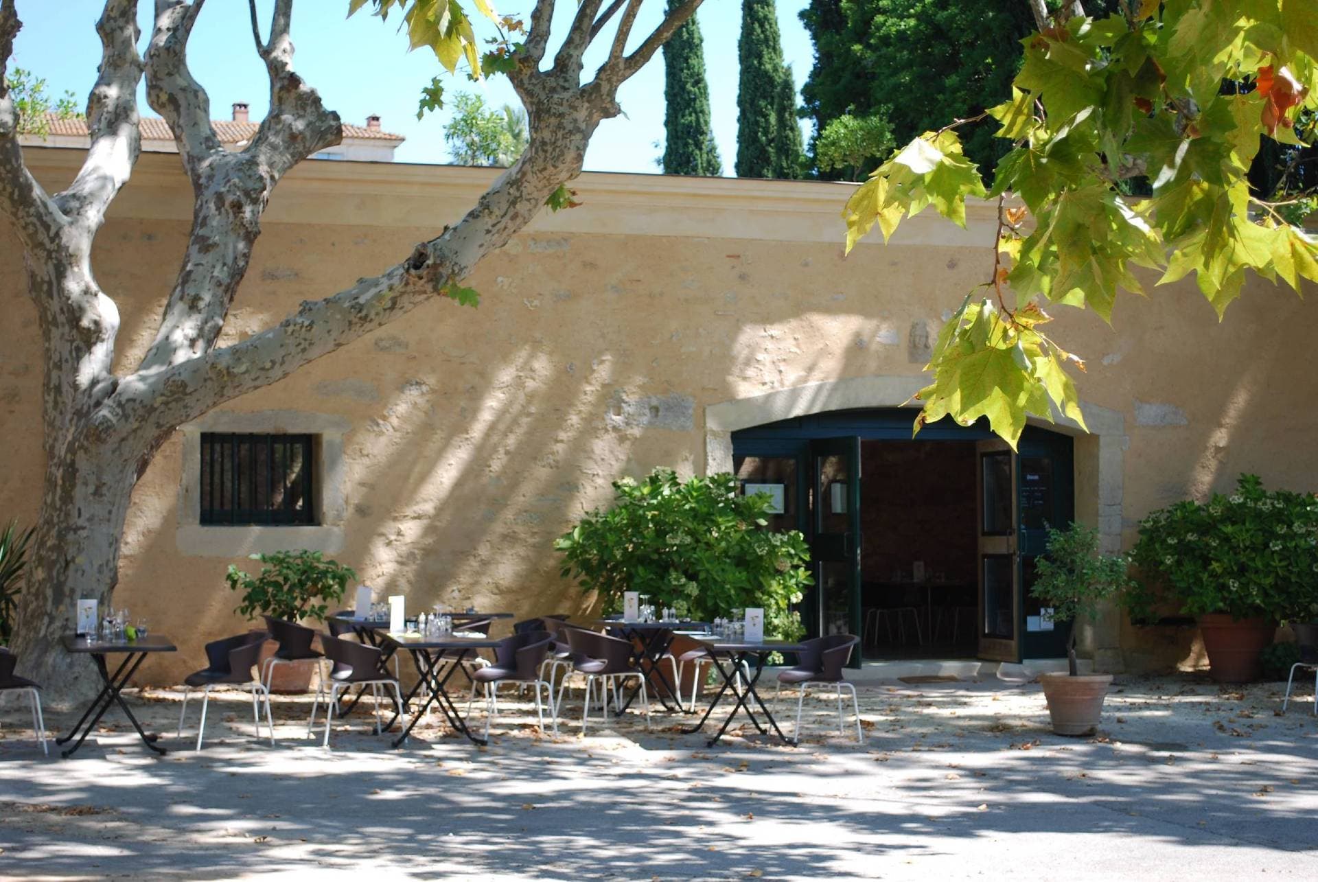 Folia restaurant, Montpellier 1