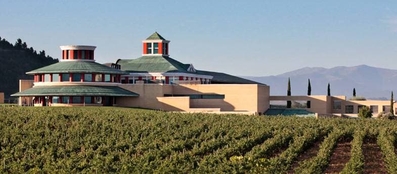 Bodegas Dinastia Vivanco 1