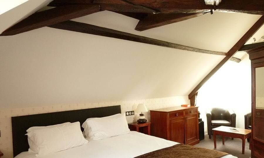 Hôtel Le Grand Monarque 10