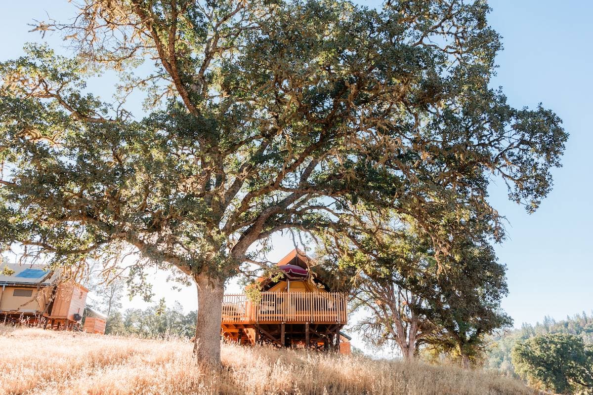 Huttopia Wine Country 15