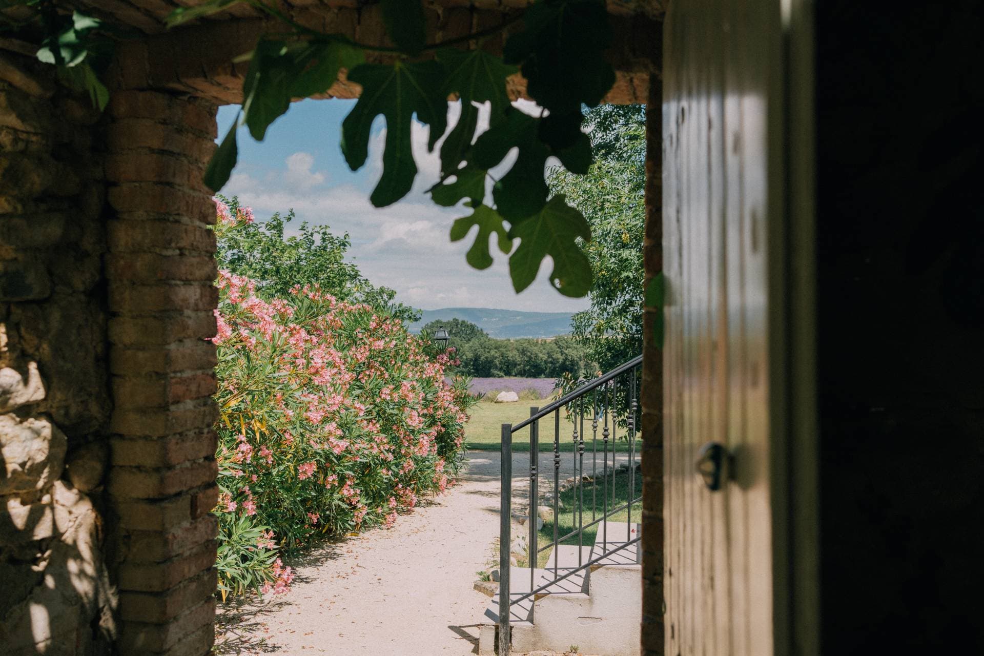Le Château Les Oliviers de Salettes 31
