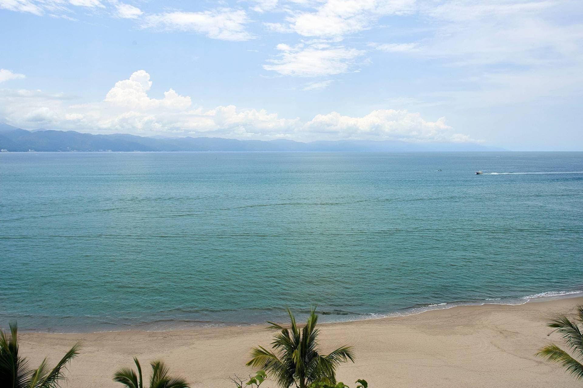 Marriott Puerto Vallarta Resort & Spa 8