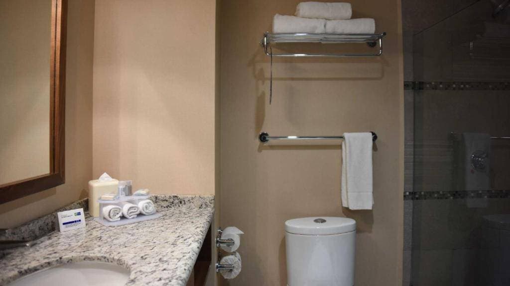 Holiday Inn Express Celaya 18