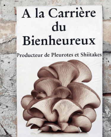 a la carrière du bienheureux  1