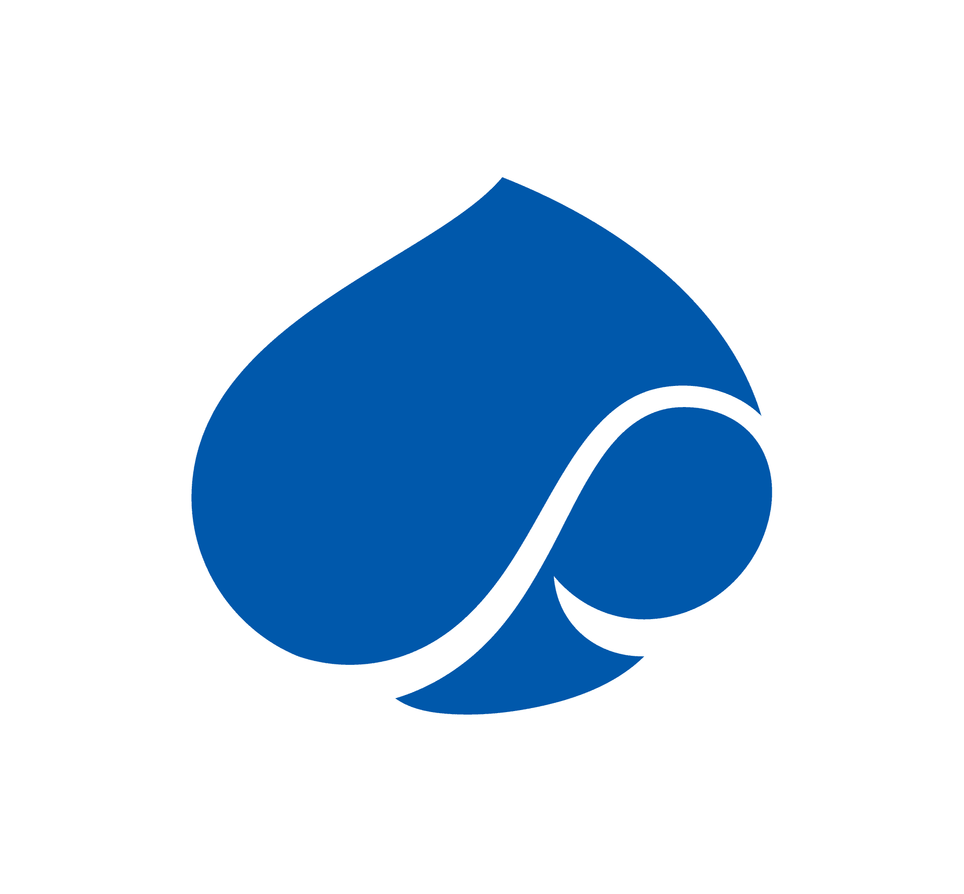 logo de Capgemini Group