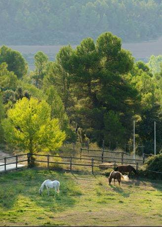 Torre del Marqués Hotel Spa & Winery - Small Luxury Hotels 24