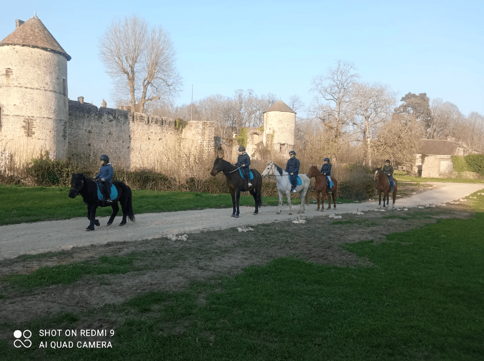 Le Château de Manou 20