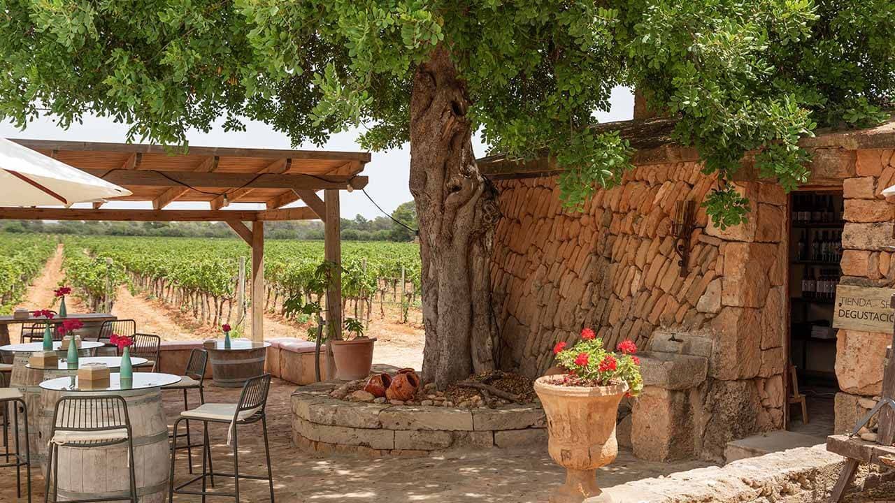 photo de Bodegas Bordoy