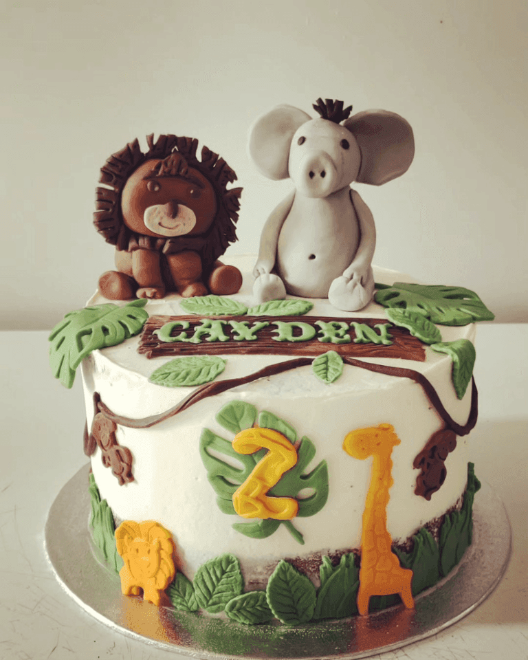 HidaCake 16
