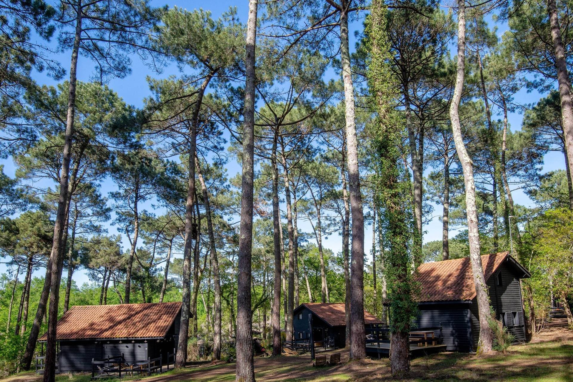 Slow Village - Biscarrosse Lac 9
