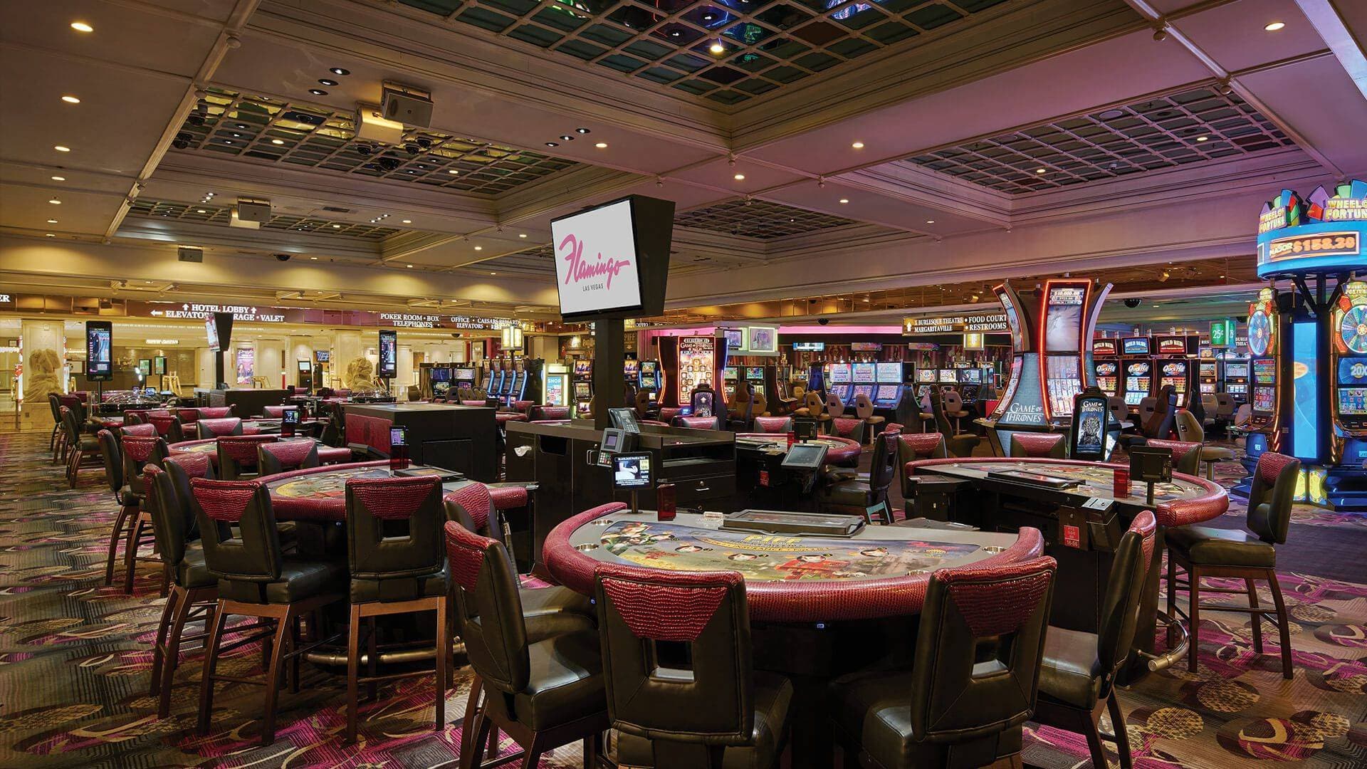 Flamingo Las Vegas Hotel & Casino 6