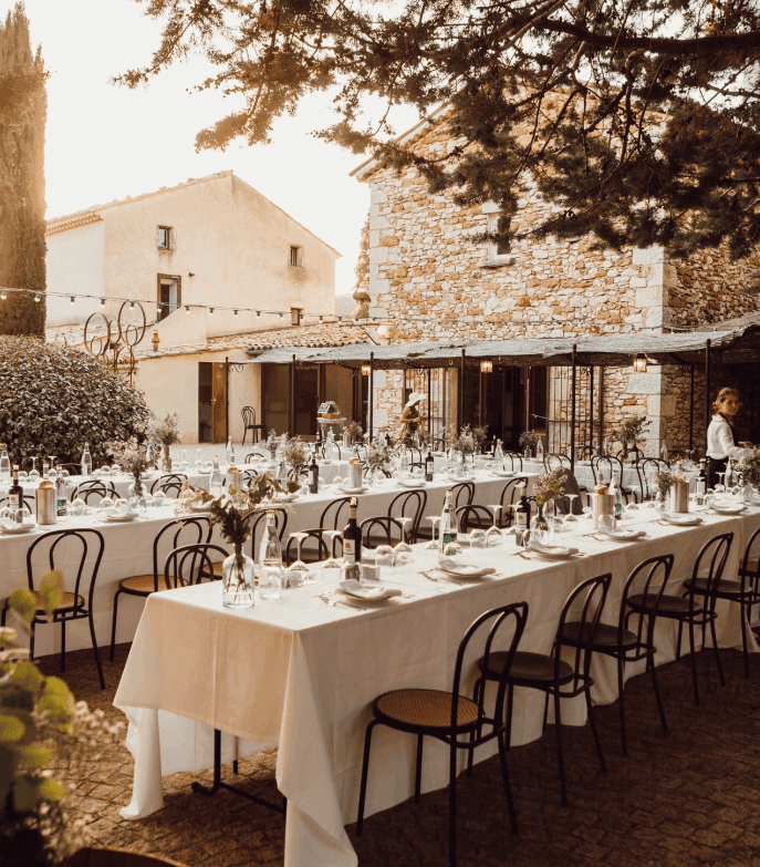 Verveine en Provence 2
