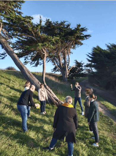 photo de LES OISEAUX SUR LA BRANCHE