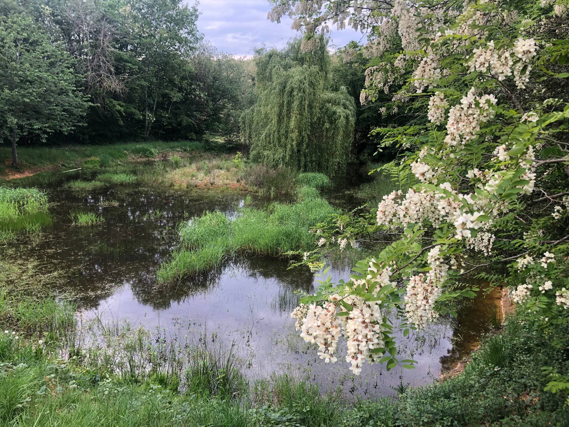 La Tuilerie de Talouan 50