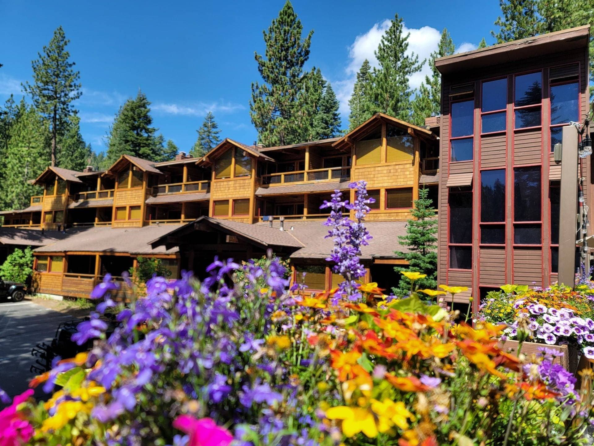 photo de Granlibakken Tahoe