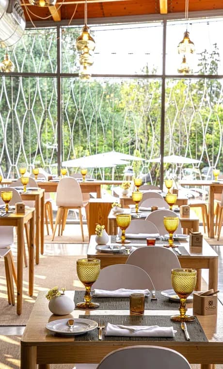 Ozadi Tavira Hotel 8