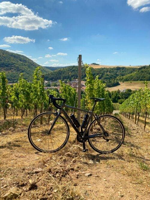 Balade Wine & eBike