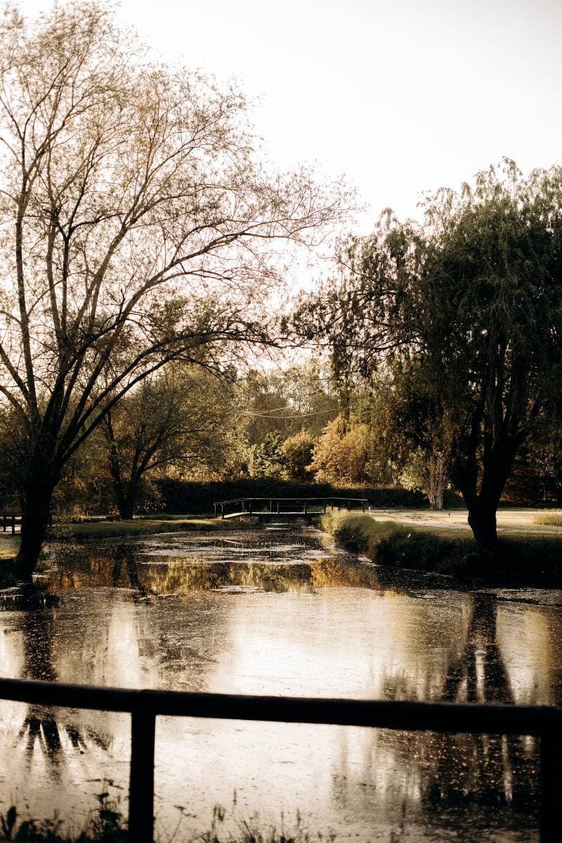 Le Domaine du Grand Lauron 28