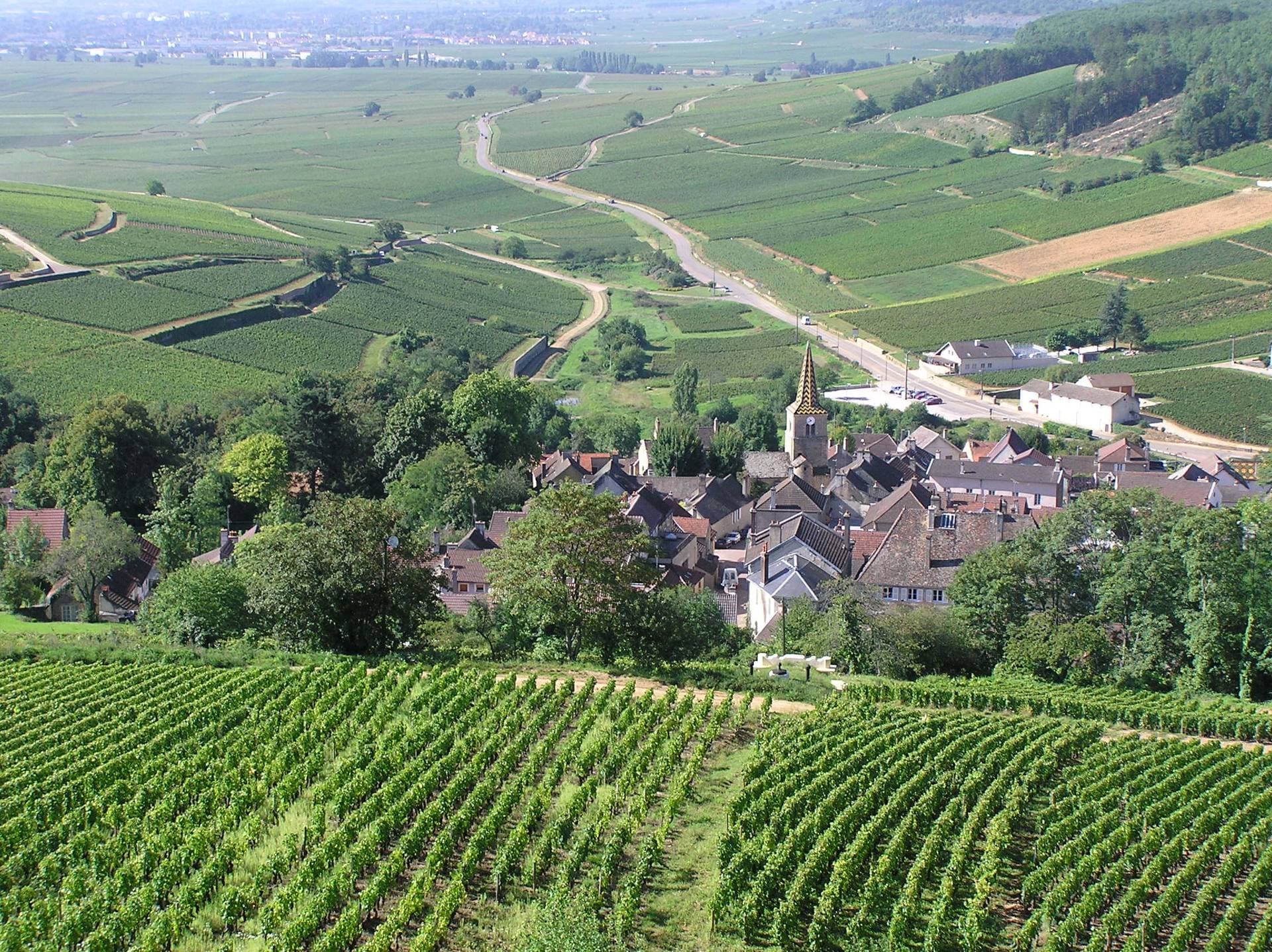 Le Château de Chailly 14