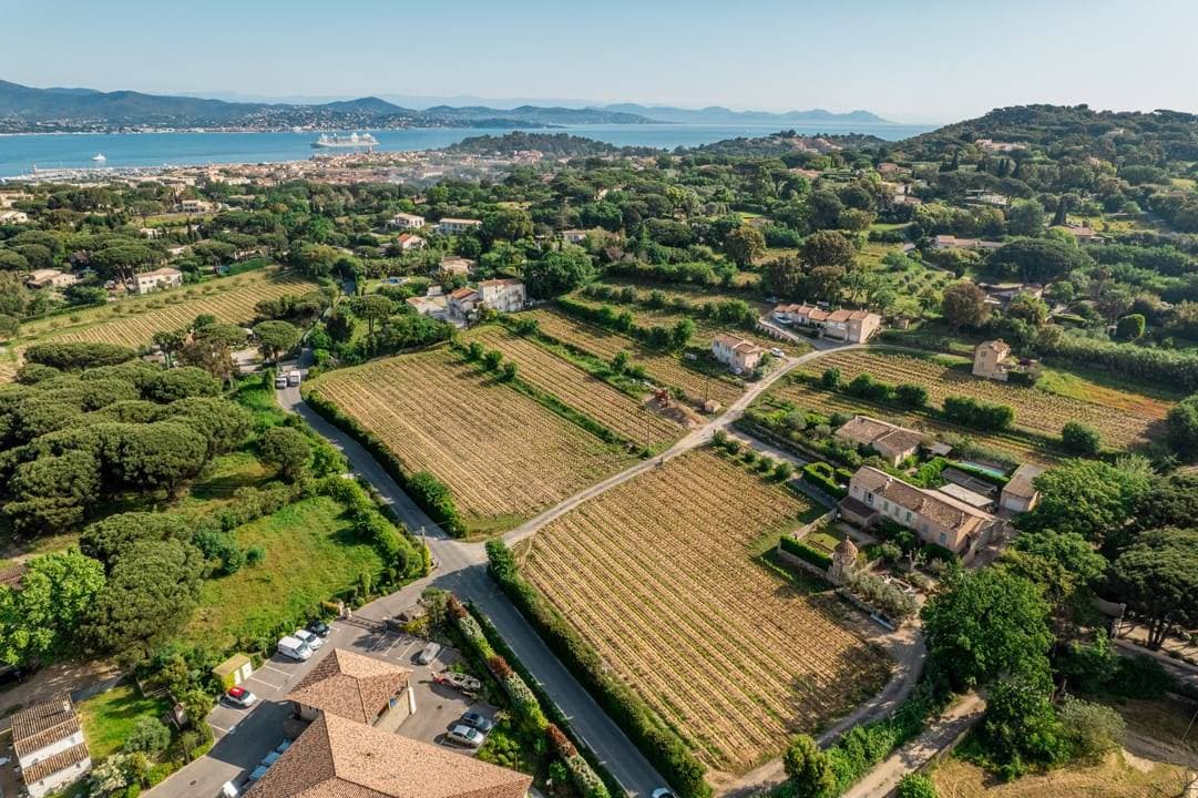 Vignoble Torpez à Saint-Tropez 4