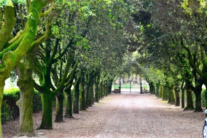 Parco del Principe 12