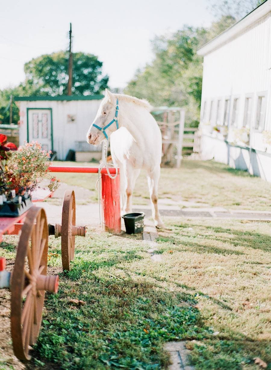 Kuhs Estate & Farm 16