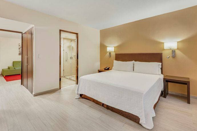 Fiesta Inn Guadalajara Expo 9