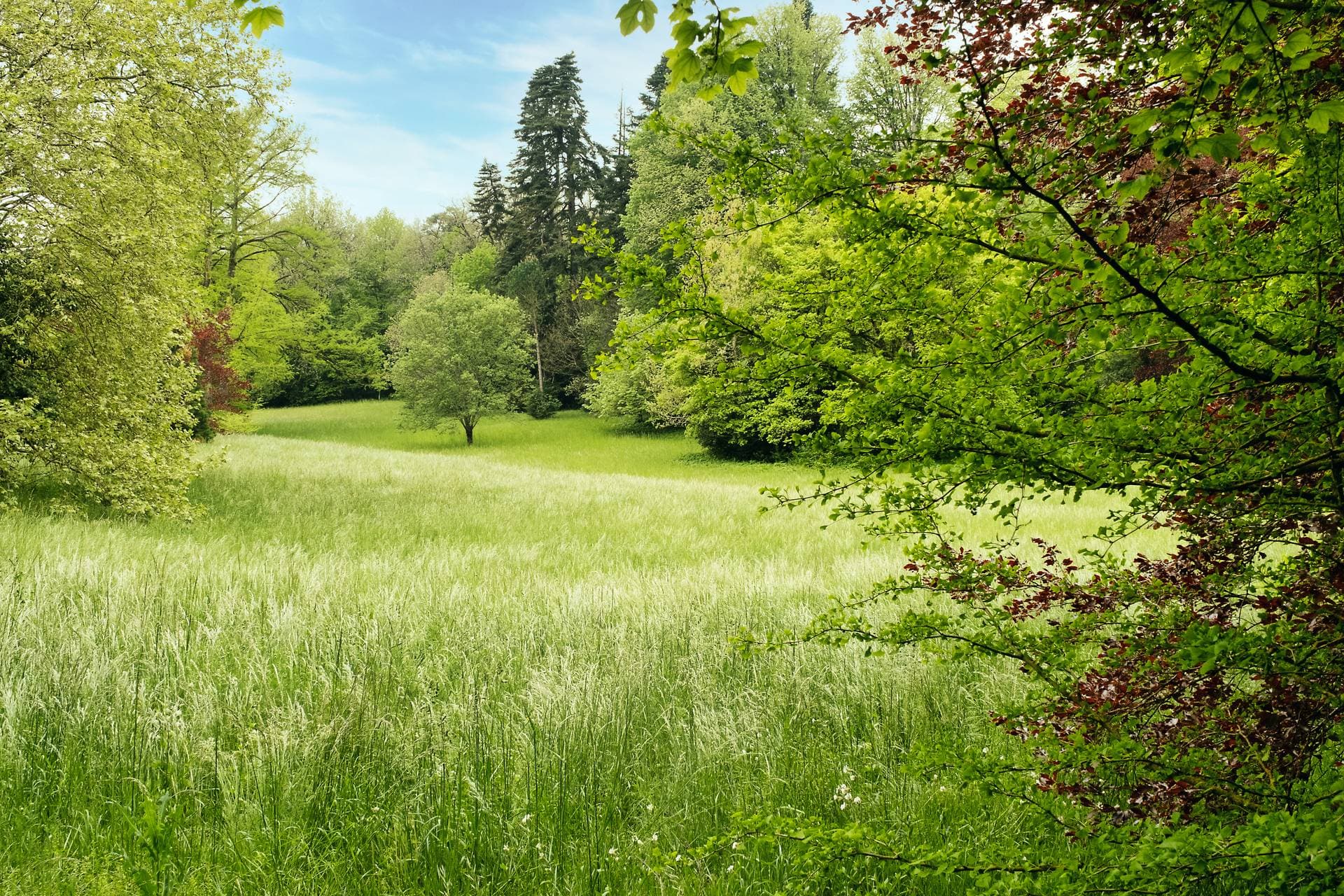 Domaine de Camboyer 9