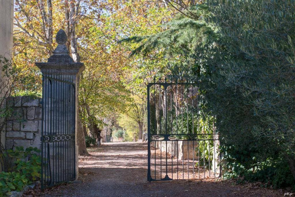 Le Mas de Cadoule 1