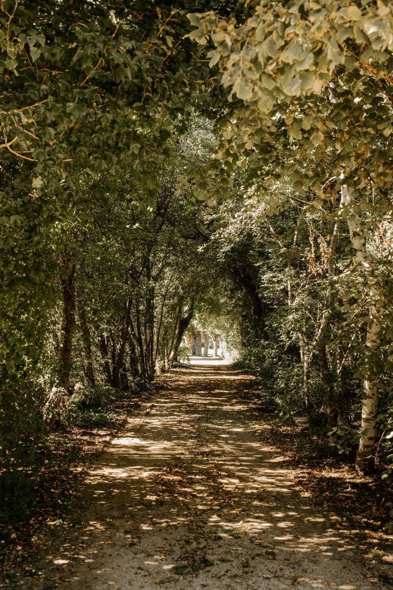 Le Domaine du Grand Lauron 26