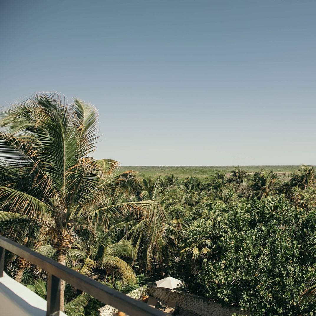 Chiringuito Tulum 12