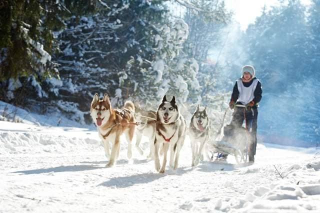 Le Base Camp Lodge Bourg Saint Maurice 22