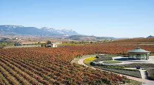 Bodegas Dinastia Vivanco 4