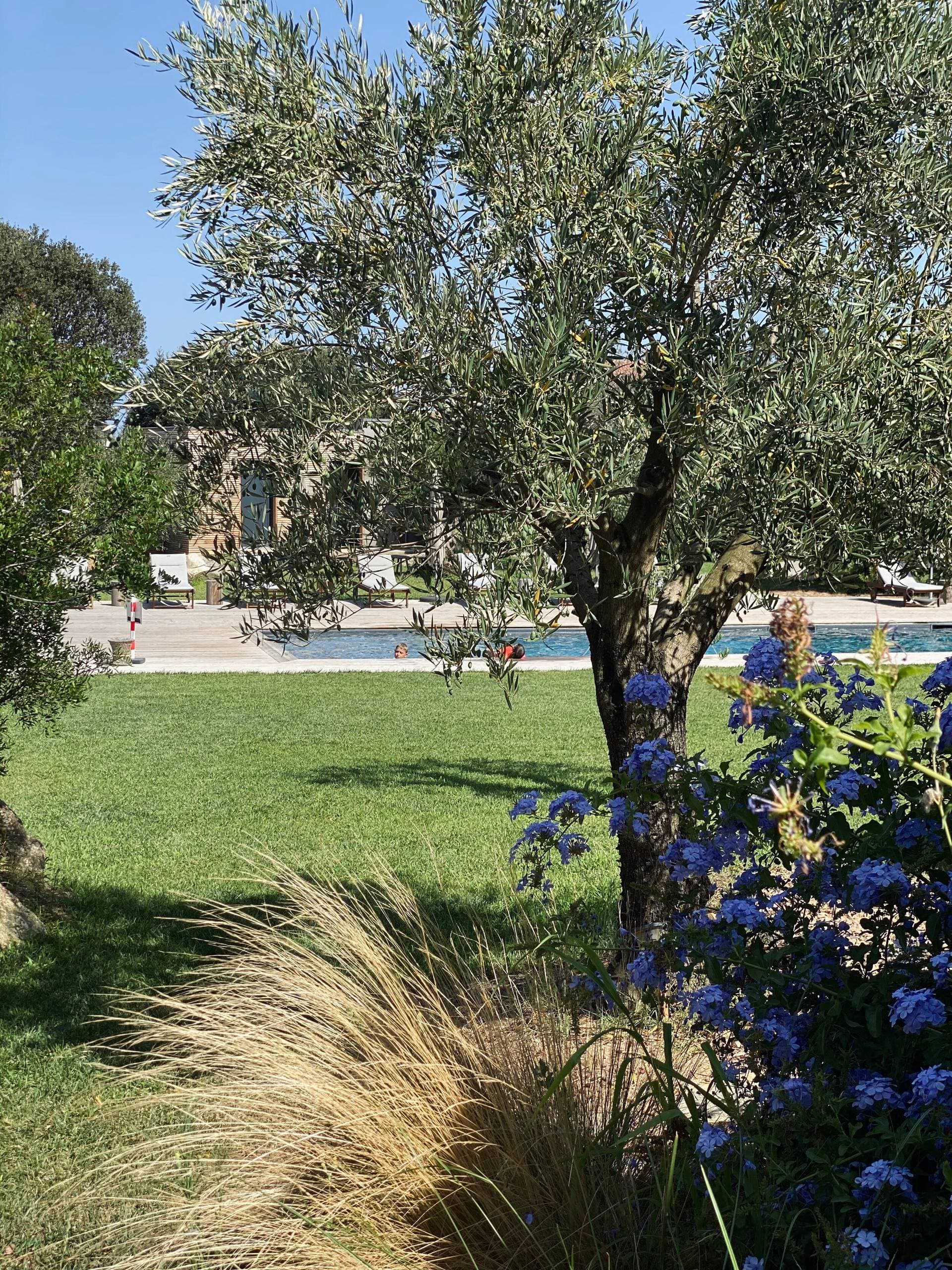 CASA LEGNA 15