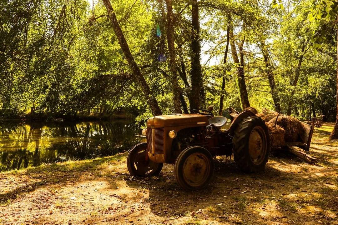 Le Bimbillou Parc 4