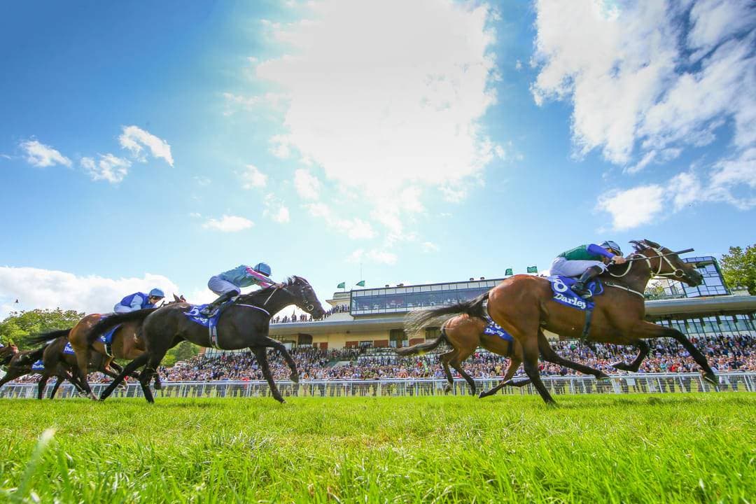 Hippodrome de Deauville 3