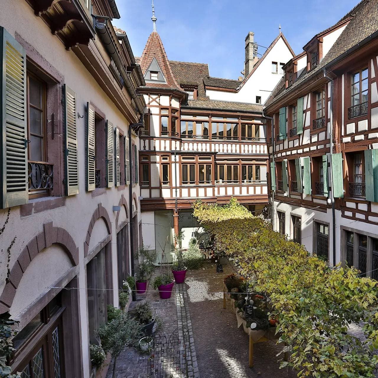 La Maison des Têtes 1