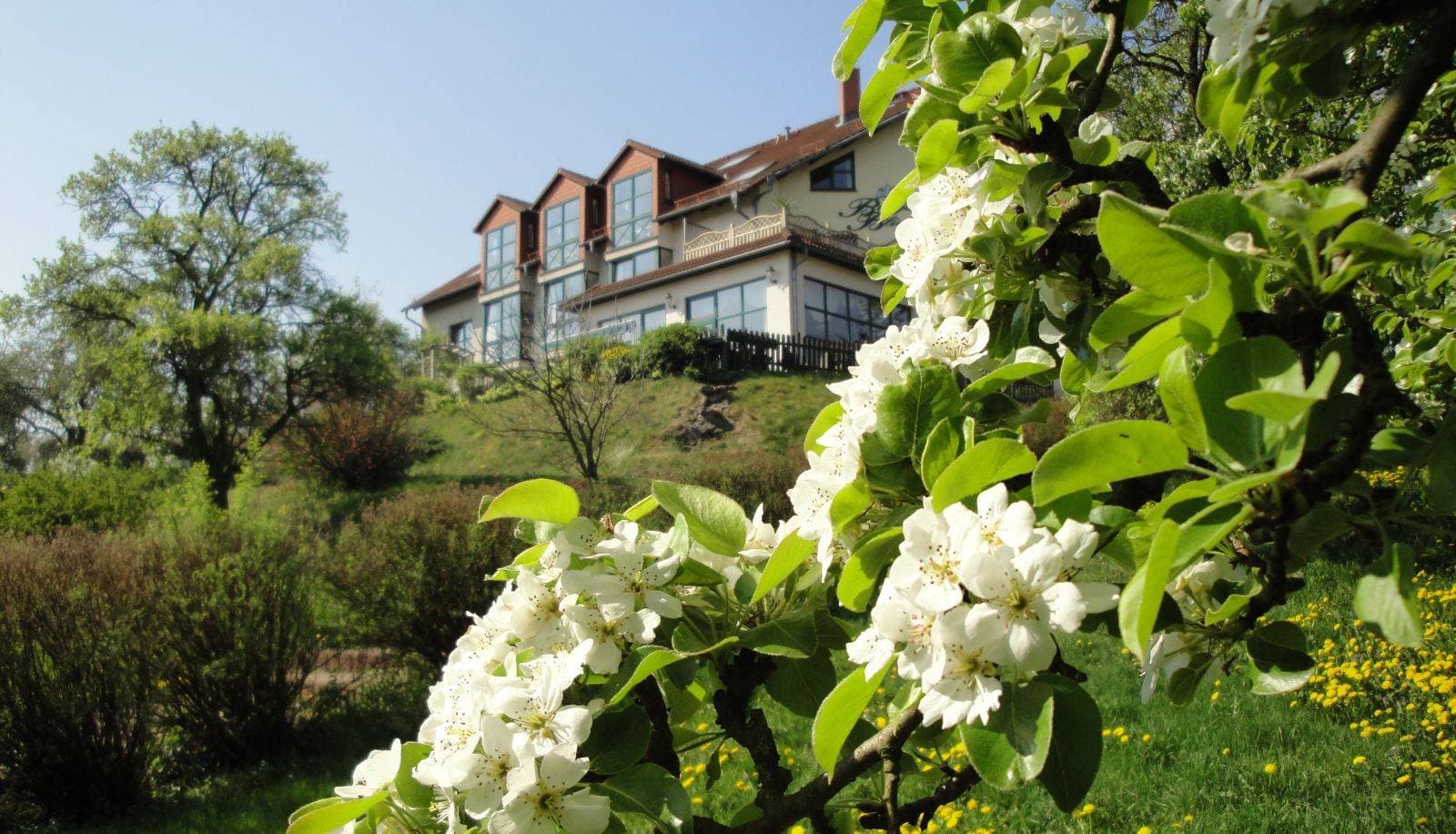 Landhotel BurgenBlick 1